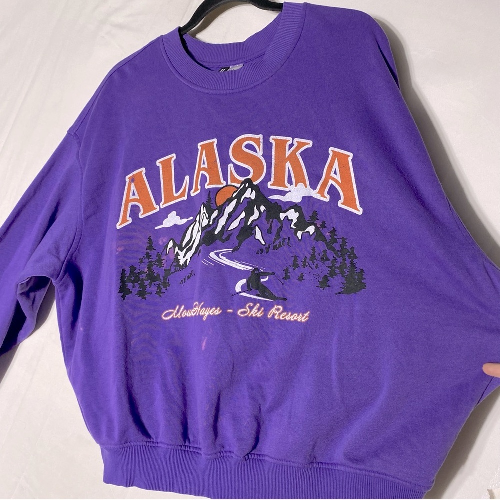 H&M Divided Purple Orange Oversized Crew Neck Alaska Sweatshirt XL - Picture 14 of 16